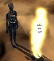 Who We Truly Are - Energy Shiastu Life Coaching Who We Truly Are - Energy Shiastu Life Coaching